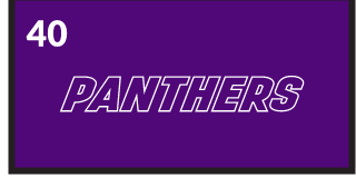 PANTHERS wordmark, purple with white outline variant, cell 40