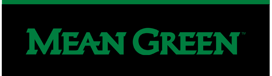 MEAN GREEN wordmark, single lined, green on black variant