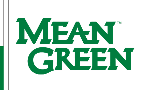 MEAN GREEN wordmark, double stacked, green on white variant