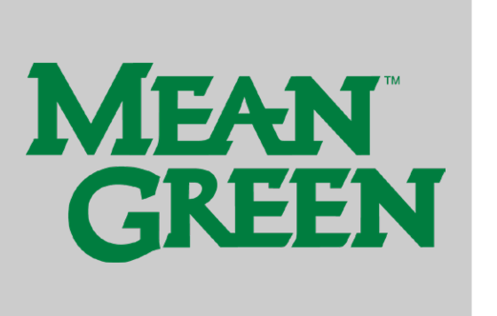 MEAN GREEN wordmark, double stacked, green on grey variant