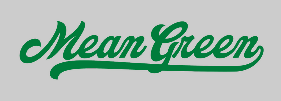 Mean Green Script Wordmark, green on grey variant