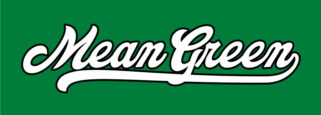 Mean Green Script Wordmark, white with black outline variant