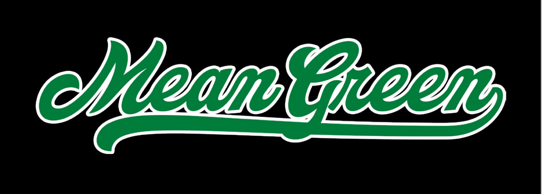 Mean Green Script Wordmark, green with white outline variant