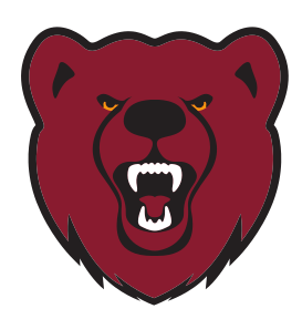 Bear head mascot, color variant, cell 13