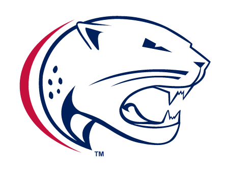 Jaguar head, full color variant, cell 8