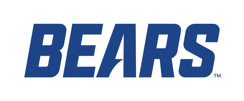 BEARS wordmark, blue variant, cell 12
