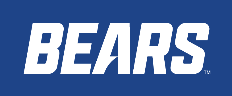 BEARS wordmark, white on blue variant, cell 13