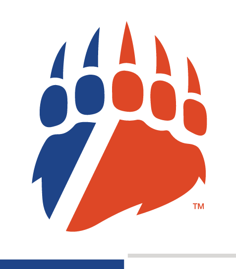 bear paw, blue and orange variant, cell 19