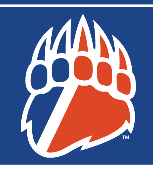 bear paw, blue and orange on blue variant, cell 20