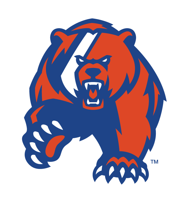 bear head and paw, blue and orange variant, cell 22