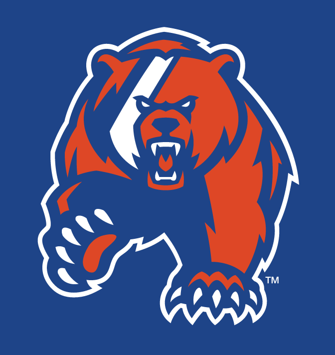 bear head and paw, blue and orange on blue variant, cell 23