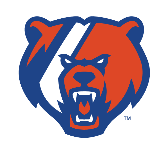 bear head, blue and orange variant, cell 24