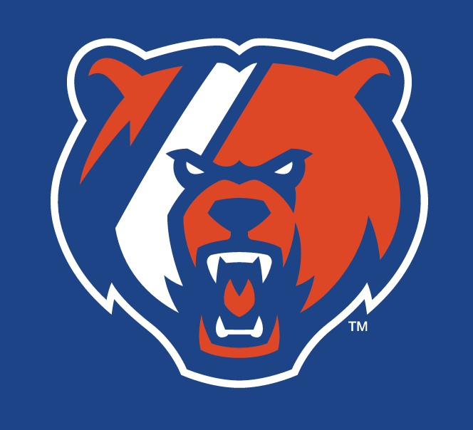 bear head, blue and orange on blue variant, cell 25
