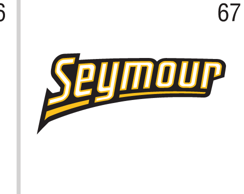 Seymour wordmark, full color variant, cell 67