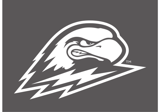eagle head, white and black on dark grey variant, cell 23