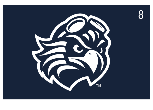 Skyhawk head profile, white on navy variant, cell 8