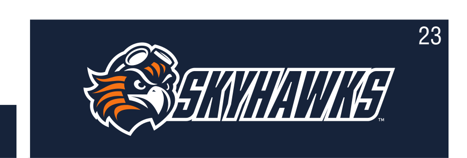 Skyhawks logo, full color on navy variant, cell 23