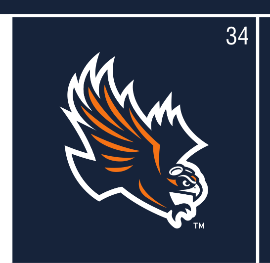 Skyhawk head, full color on navy variant, cell 34