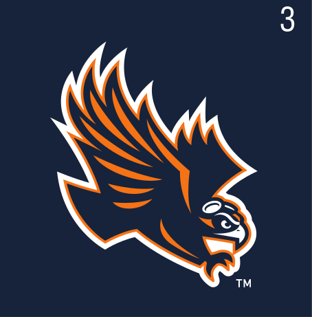Skyhawk head, orange with navy outline variant, cell 35