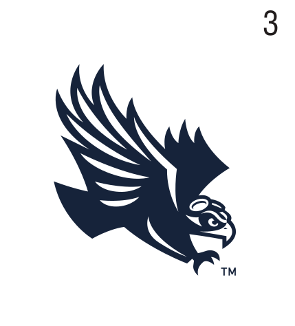 Skyhawk head, navy variant, cell 39