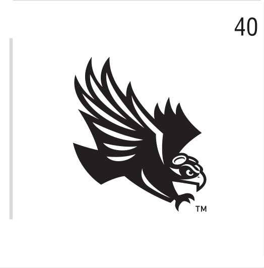 Skyhawk head, white on navy variant, cell 40