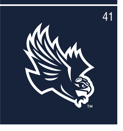 Skyhawk head, white outline on navy variant, cell 41