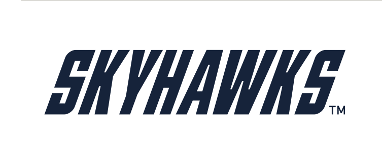 Skyhawks wordmark, navy variant, cell 50