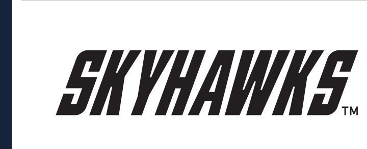 Skyhawks wordmark, black variant, cell 53