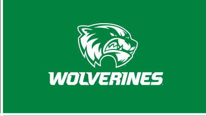 Wolverine head + WOLVERINES, white on kelly green variant, cell 34