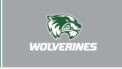 Wolverine head + WOLVERINES, white on grey variant, cell 35