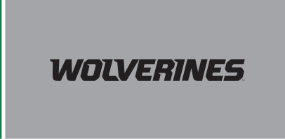 WOLVERINES wordmark, white on grey variant, cell 71