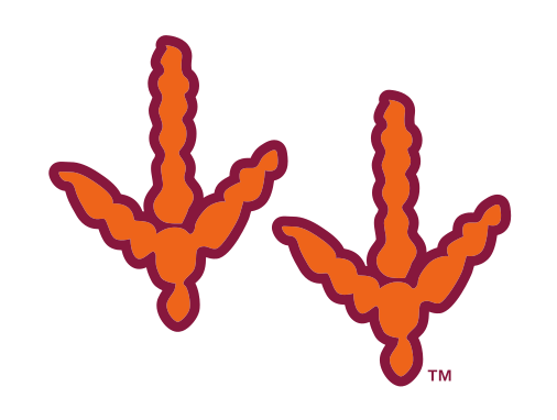 Hokie bird tracks, color variant, cell 45