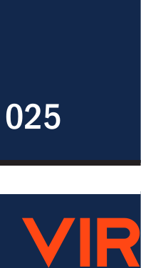 VIRGINIA wordmark, navy with orange outline variant, cell 39