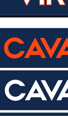 VIRGINIA wordmark, white with navy outline on orange variant, cell 41