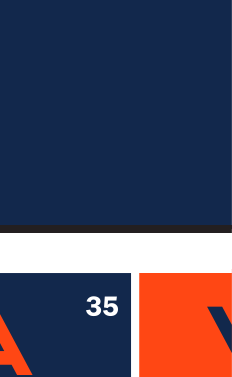 VIRGINIA wordmark, orange variant, cell 49