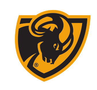 ram head logo, gold/black variant, cell 12