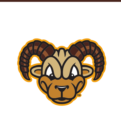 mascot head, full color variant, cell 37