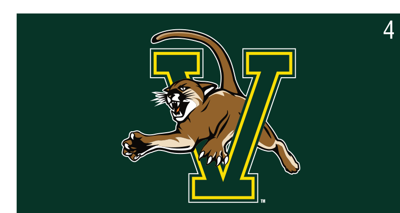V-Cat logo, full color on green variant, cell 4