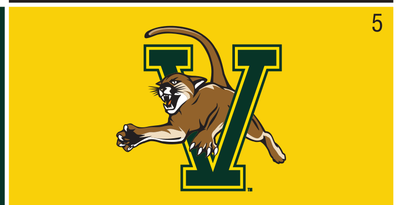 V-Cat logo, full color on gold variant, cell 5