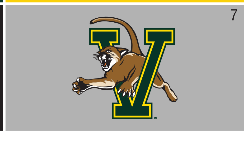V-Cat logo, full color on morning fog variant, cell 7