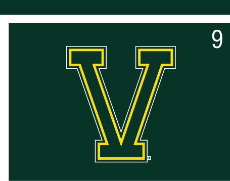 Split-V logo, outlined green/gold on green variant, cell 9