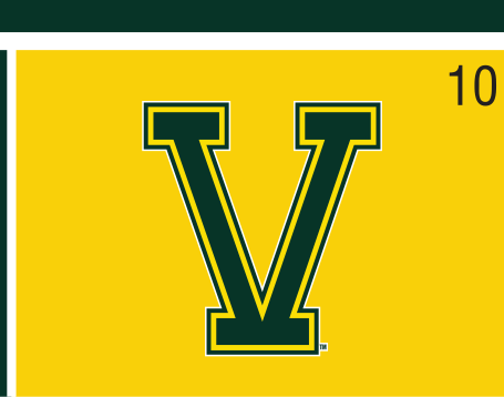 Split-V logo, outlined green/gold on gold variant, cell 10
