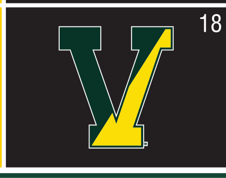 Split-V logo, green/gold on slate variant, cell 18