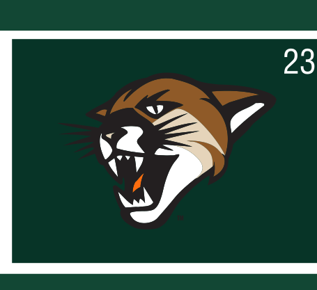 Cat Head logo, full color on green variant, cell 23