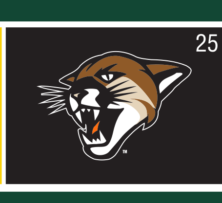 Cat Head logo, full color on slate variant, cell 25