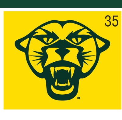 Rally Head logo, full color on gold variant, cell 35