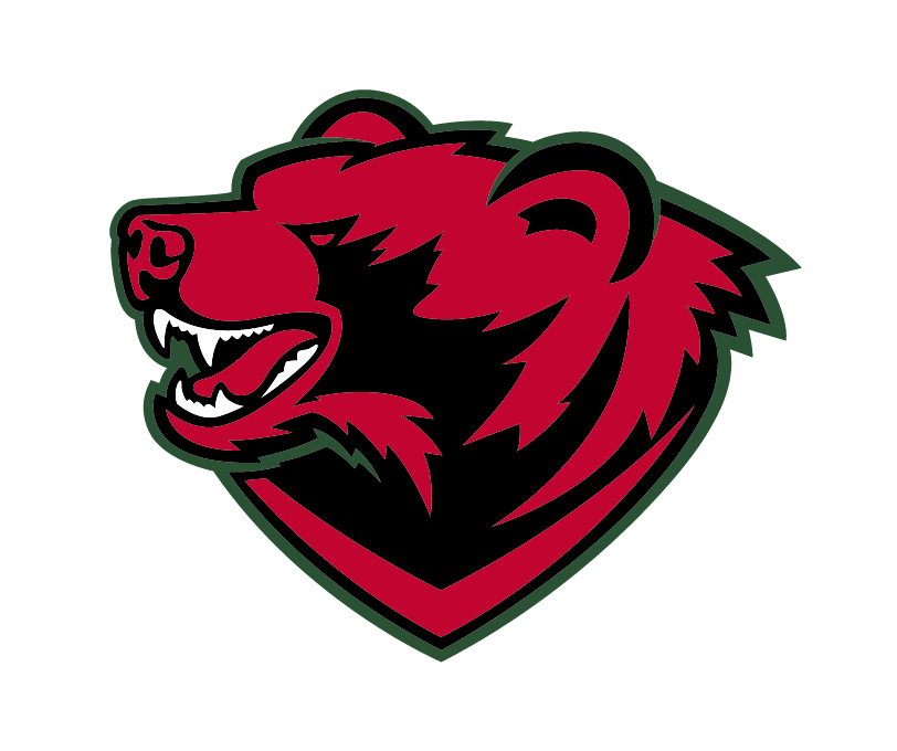 WashU Bear mascot, full color variant, cell 202