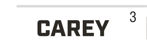 CAREY wordmark, black on white variant, cell 36