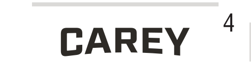 CAREY wordmark, italic black on white variant, cell 41