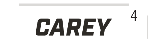 CAREY wordmark, slanted black on white variant, cell 46